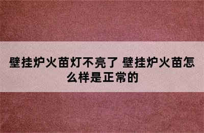 壁挂炉火苗灯不亮了 壁挂炉火苗怎么样是正常的